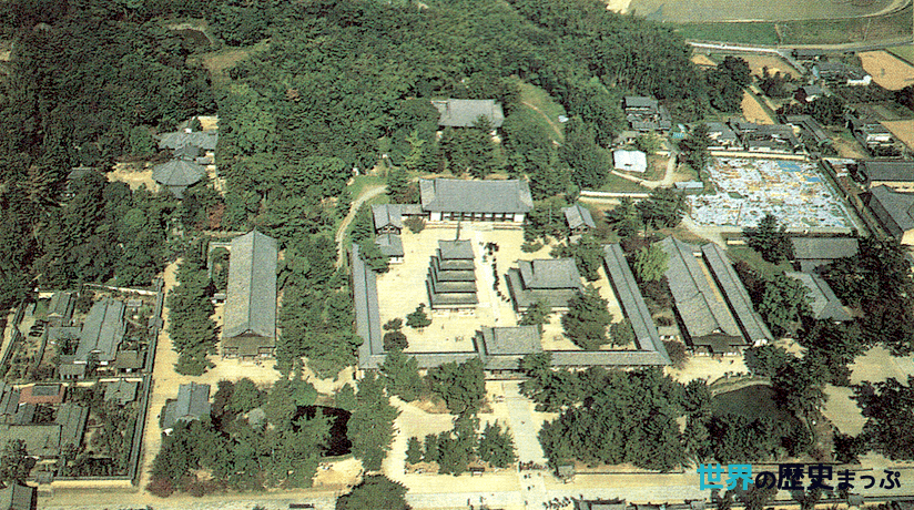 飛鳥文化 律令国家の成立 法隆寺 律令国家の形成 飛鳥時代